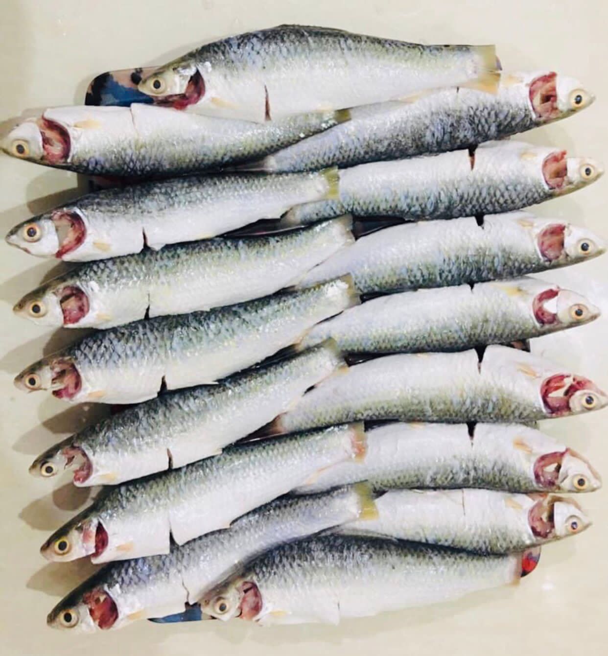Fish/Meat(মাছ/মাংস)